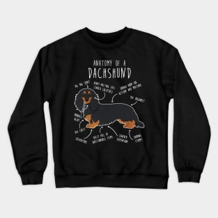 Black and Tan Longhaired Dachshund Dog Anatomy Crewneck Sweatshirt